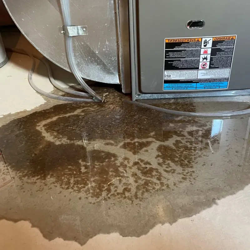Pipe Burst and Leak Restoration in Kachina Village, AZ